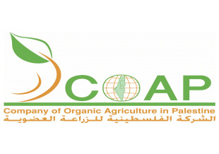 immagine per Scoap ogo